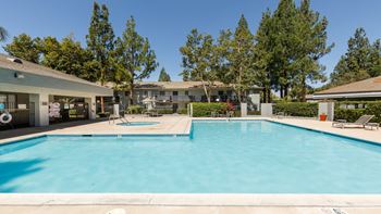 Pool view